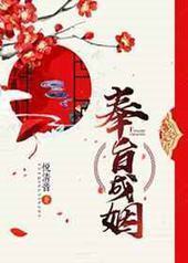 奉旨成姻封面