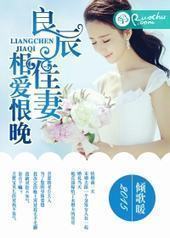 良辰佳妻，相爱恨晚封面