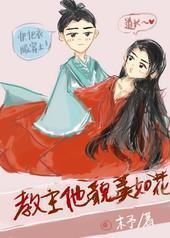 教主他貌美如花封面