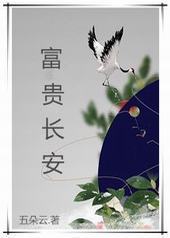 富贵长安封面