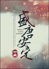 盛唐安定[GL]封面
