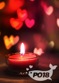 ��Ҳ��ȥPUB�˷���