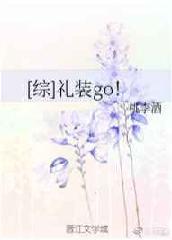 [����]��װGO!����