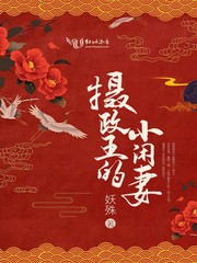 摄政王的小闲妻封面