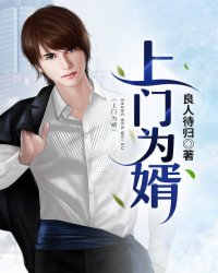 上门为婿封面