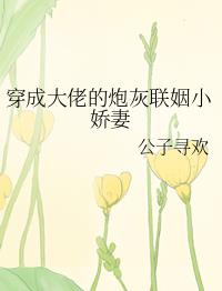 ɴеڻС޷