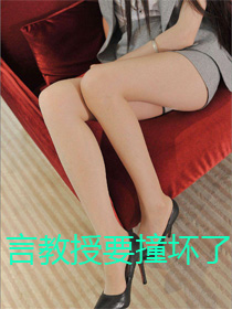 言教授要撞坏了封面