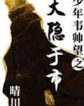 少年韦帅望之大隐于市封面