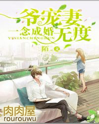 һ��ɻ飺ү�����޶ȷ���