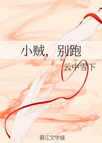 小贼，别跑封面