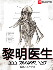 黎明医生封面