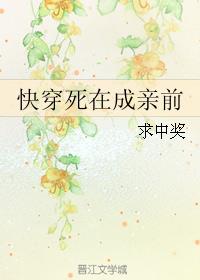 快穿死在成亲前封面