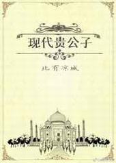 现代贵公子封面