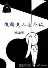 傲娇夫人是个攻封面
