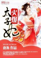 火爆太子妃封面