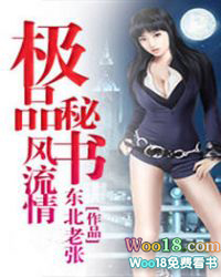 极品秘书风流情封面