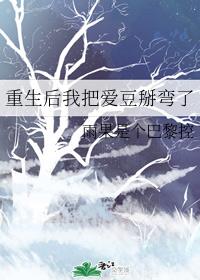 重生后我把爱豆掰弯了封面