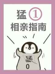 猛一相亲指南封面