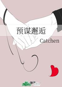 预谋邂逅封面