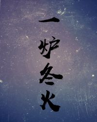 一炉冬火封面