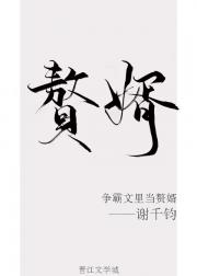 争霸文里当赘婿封面