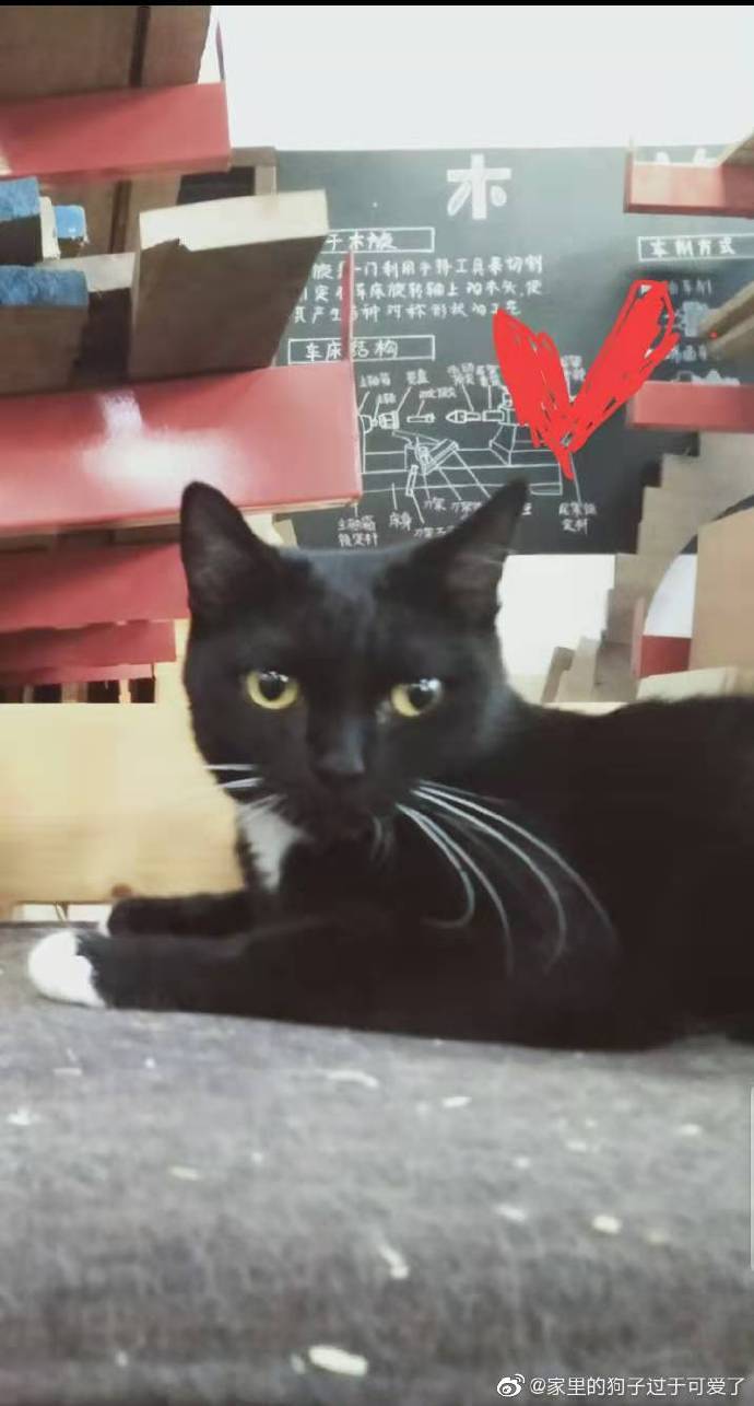 [����]�������߸���������޳��������������