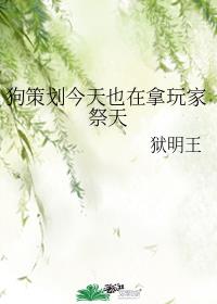 狗策划今天也在拿玩家祭天封面