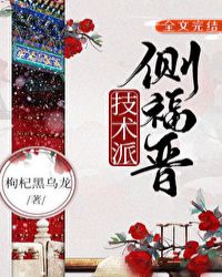 技术派侧福晋封面