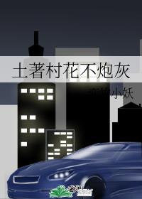 土著村花不炮灰封面