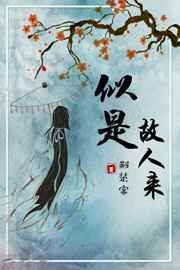 �����ڻҹ�������