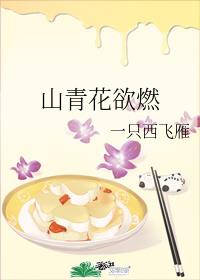 ɽ�໨��ȼ����