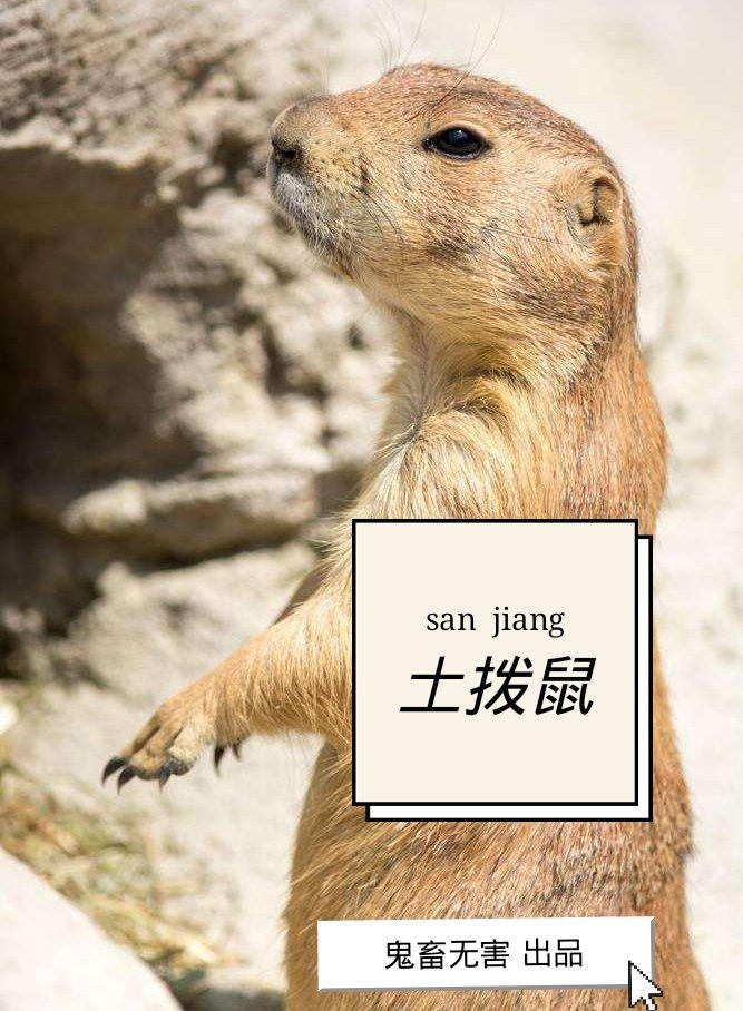 [��]�����С��ʨ����