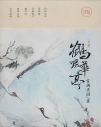 鹤唳华亭封面