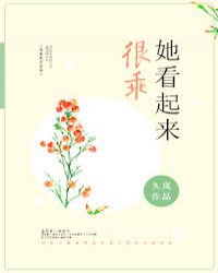 ���������ܹԷ���