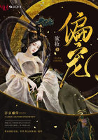 偏宠封面