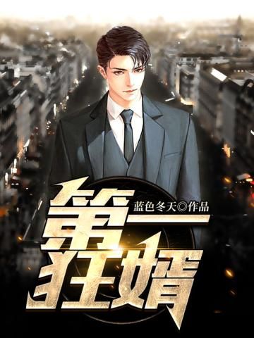 第一狂婿封面