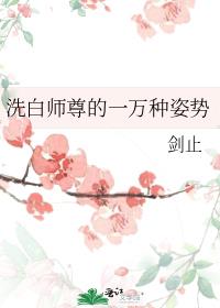 洗白师尊的一万种姿势封面