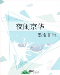 夜阑京华封面