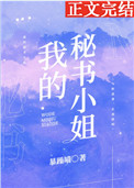 我的秘书小姐封面