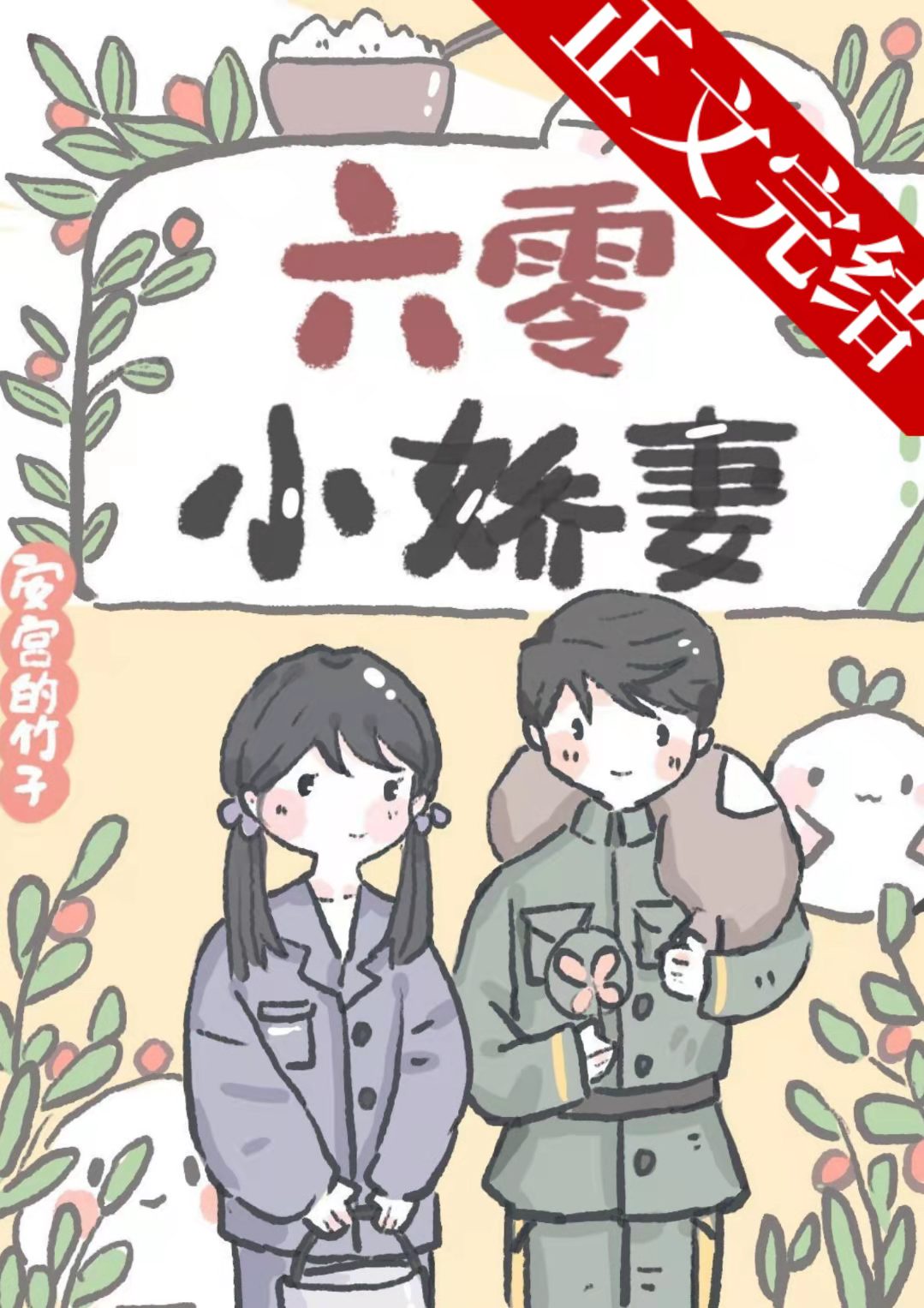 六零小娇妻封面