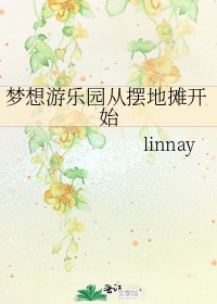 梦想游乐园从摆地摊开始封面