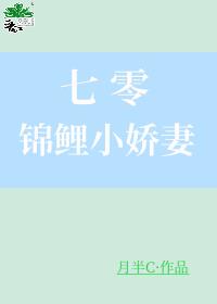 �������С���޷���