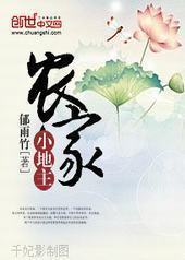 农家小地主封面