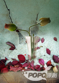 ���ɰ�ҹ�����ŷ���