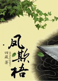 凤欺梧封面
