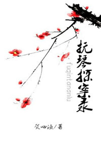 抚琴探案录封面