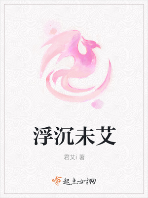 浮沉未艾封面