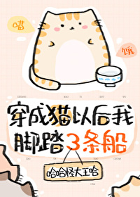 ����è�Ժ��ҳ���ʱ�������ʦ����