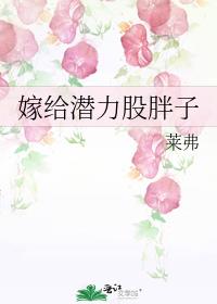 ޸Ǳӷ