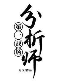 第一战场分析师封面